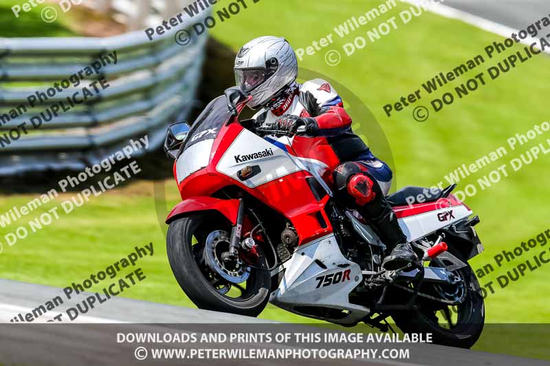 PJ Motorsport 2019;anglesey;brands hatch;cadwell park;croft;donington park;enduro digital images;event digital images;eventdigitalimages;mallory;no limits;oulton park;peter wileman photography;racing digital images;silverstone;snetterton;trackday digital images;trackday photos;vmcc banbury run;welsh 2 day enduro